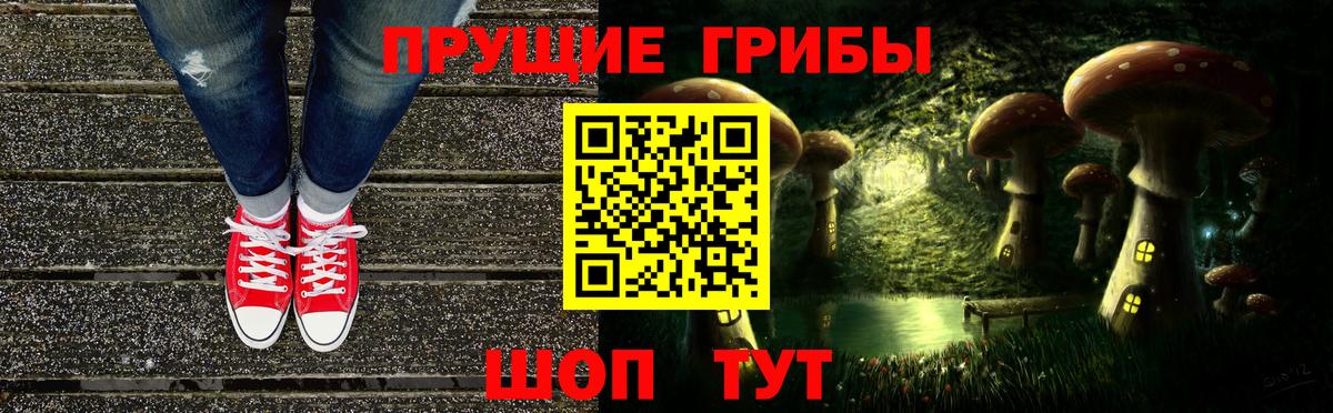 Псилоцибиновые грибы прущие грибы  Вход с VPN  Псилоцибиновые грибы MAGIC MUSHROOMS  Владикавказ 