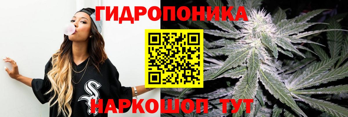 Конопля сатива  Конопля LSD WEED  Владикавказ  Вход с VPN  Каннабис тримм  Конопля LSD WEED 